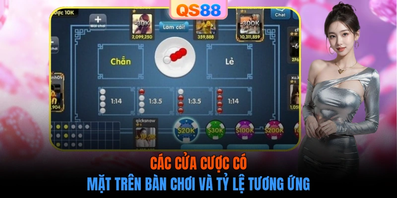 Các cửa cược có mặt trên bàn chơi và tỷ lệ tương ứng