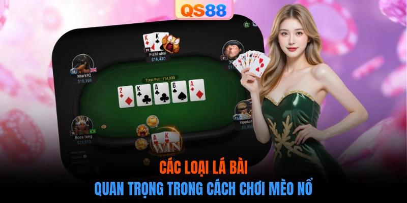 Các loại lá bài quan trọng trong cách chơi Mèo Nổ