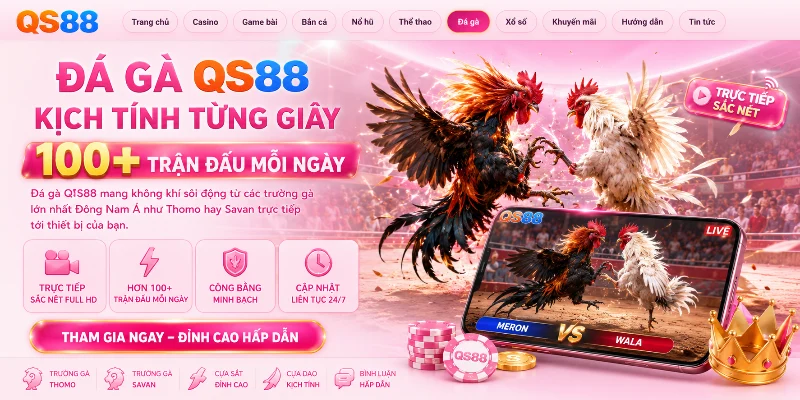 QS88 mang đến đấu trường đá gà đỉnh cao
